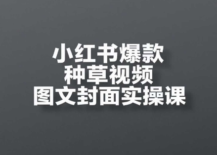 小红书爆款种草视频图文封面实操课，​开店、选品、引流、变现全流程网赚项目-美肚杀分享
