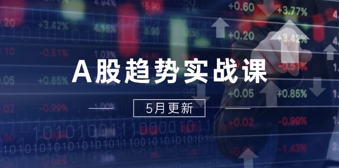 A股趋势实战课：主力动向+政策红利，2025全年策略5月更新网赚项目-美肚杀分享