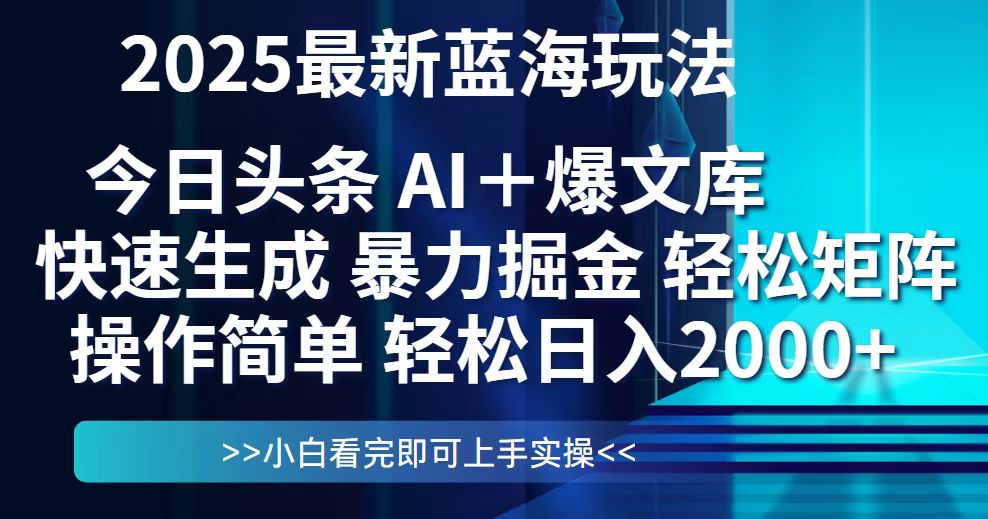 今日头条2025最新蓝海玩法，思路简单，复制粘贴，轻松实现矩阵日入2000+网赚项目-美肚杀分享