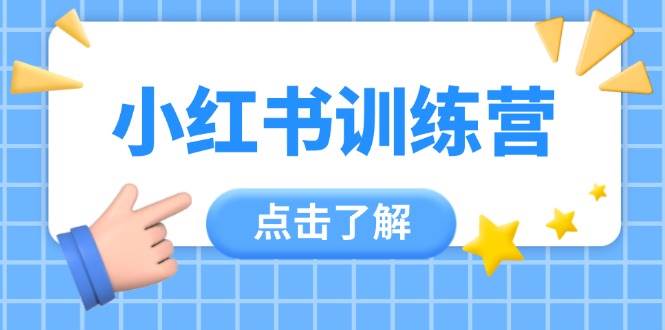 小红书训练营，助小白入门，掌握技巧变达人，课程实操又全面(12节课)网赚项目-美肚杀分享
