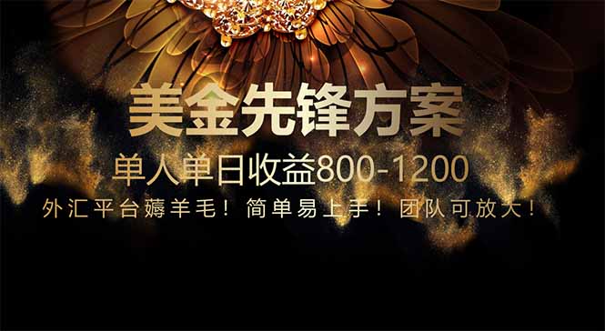 免费技术！小众赛道！一年布局抵三年努力，每日800+网赚项目-美肚杀分享