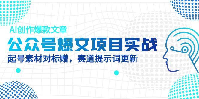 公众号爆文项目实战,AI创作爆款文章,起号素材对标赠(附赛道AI提示词网赚项目-美肚杀分享