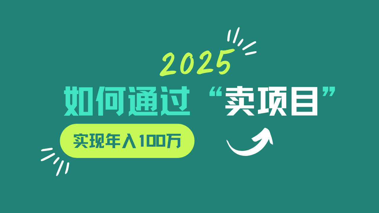 2025年如何通过“卖项目”实现年入100w网赚项目-美肚杀分享