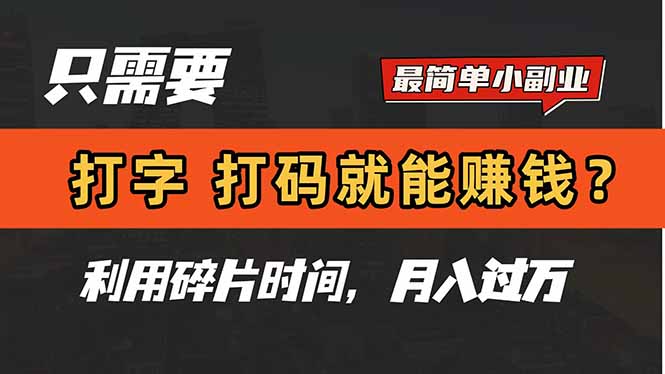 只需要打字，打码，就能赚钱？简单的赚钱小副业，利用碎片时间，月入过万网赚项目-美肚杀分享
