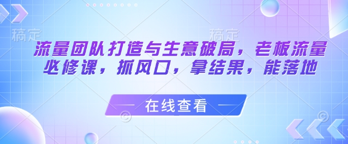 流量团队打造与生意破局,老板流量必修课,抓风口,拿结果,能落地网赚项目-美肚杀分享