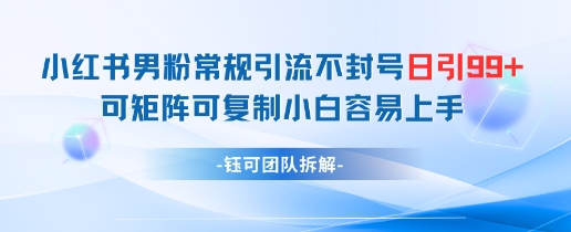 小红书男粉常规引流不封号日引99+变现简单 可矩阵可复制小白容易上手网赚项目-美肚杀分享
