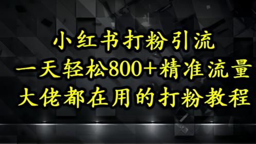 小红书打粉引流,一天轻松500+精准流量,大佬都在用的打粉教程网赚项目-美肚杀分享