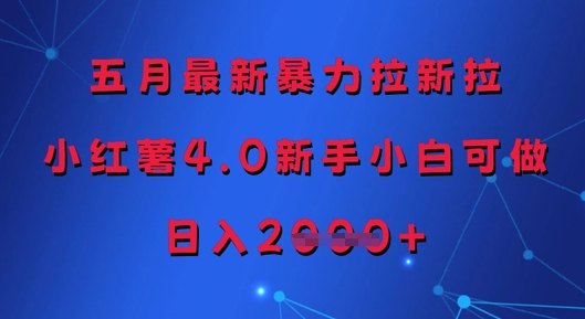 五月最新暴力拉新拉，小红薯4.0新手小白可做，日入多张网赚项目-美肚杀分享