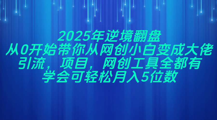 2025年逆境翻盘,从0开始带你从网创小白变成大佬,引流,项目,网创工…网赚项目-美肚杀分享