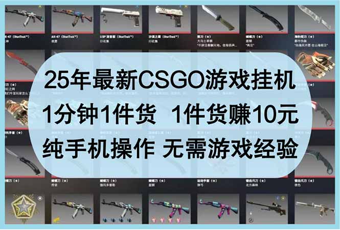 25年最新CSGO游戏挂机,1分钟1件货,1件货赚10元 纯手机操作 无需游戏经验网赚项目-美肚杀分享
