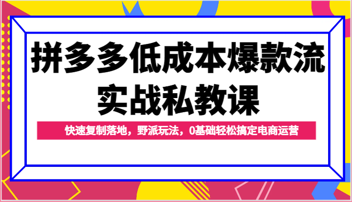 拼多多低成本爆款流实战私教课,快速复制落地,野派玩法,0基础轻松搞定电商运营网赚项目-美肚杀分享