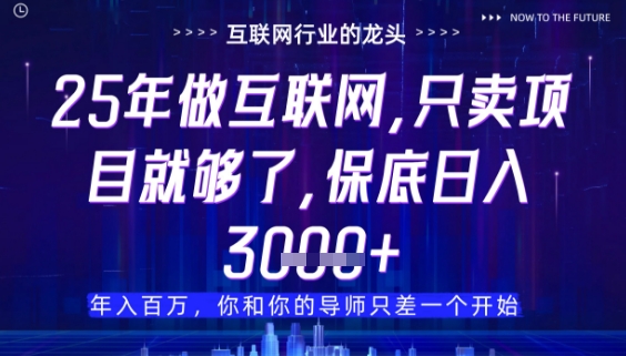 什么！25年你还在找项目做？风口早就变了，卖项目才是稳挣不赔【揭秘】网赚项目-美肚杀分享