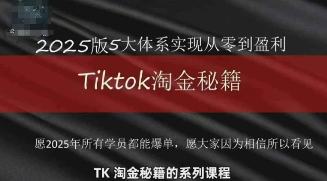 TikTok跨境2025淘金秘籍，​2025TikTok从0到盈利变现网赚项目-美肚杀分享