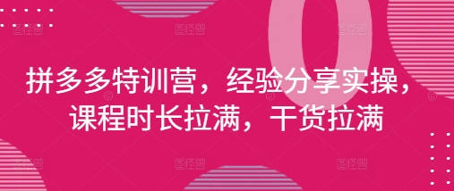 拼多多特训营，经验分享实操，课程时长拉满，干货拉满(更新25年4月)网赚项目-美肚杀分享