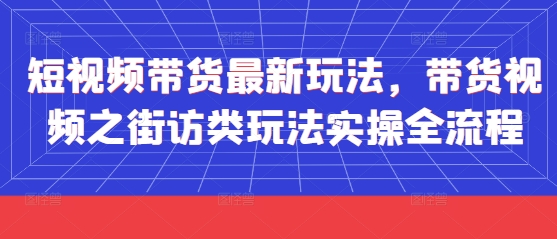 短视频带货最新玩法，带货视频之街访类玩法实操全流程网赚项目-美肚杀分享