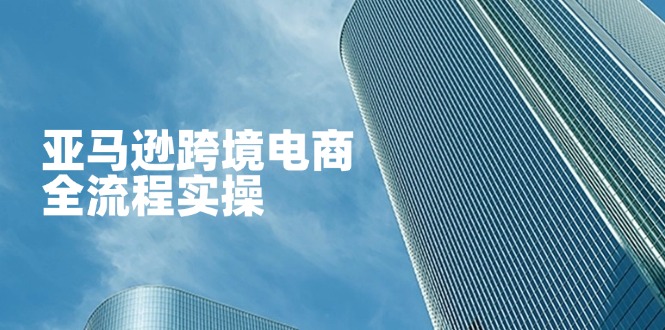 亚马逊跨境电商全流程实操,教你从零开始,掌握店铺运营与广告技巧网赚项目-美肚杀分享