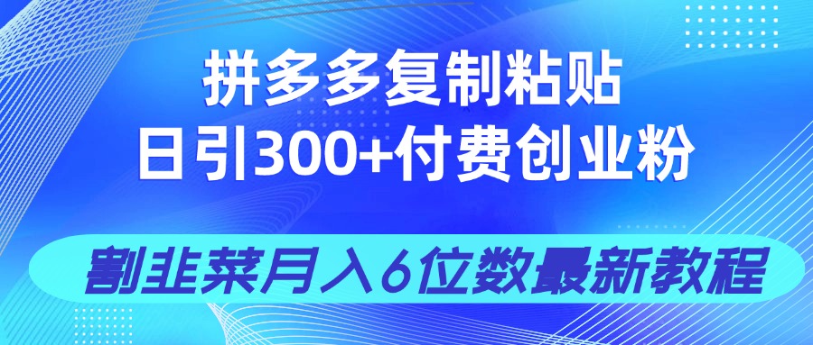 拼多多复制粘贴日引300+付费创业粉，割韭菜月入6位数最新教程！网赚项目-美肚杀分享