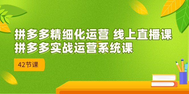 拼多多精细化运营 线上直播课:拼多多实战运营系统课(更新47节)网赚项目-美肚杀分享
