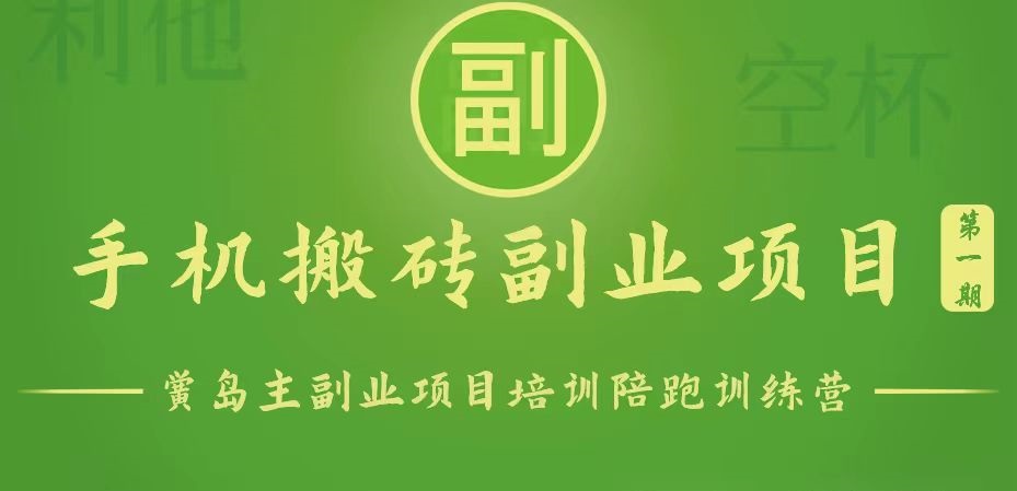 手机搬砖小副业项目训练营1.0，能用手机做的简单小副业网赚项目-美肚杀分享