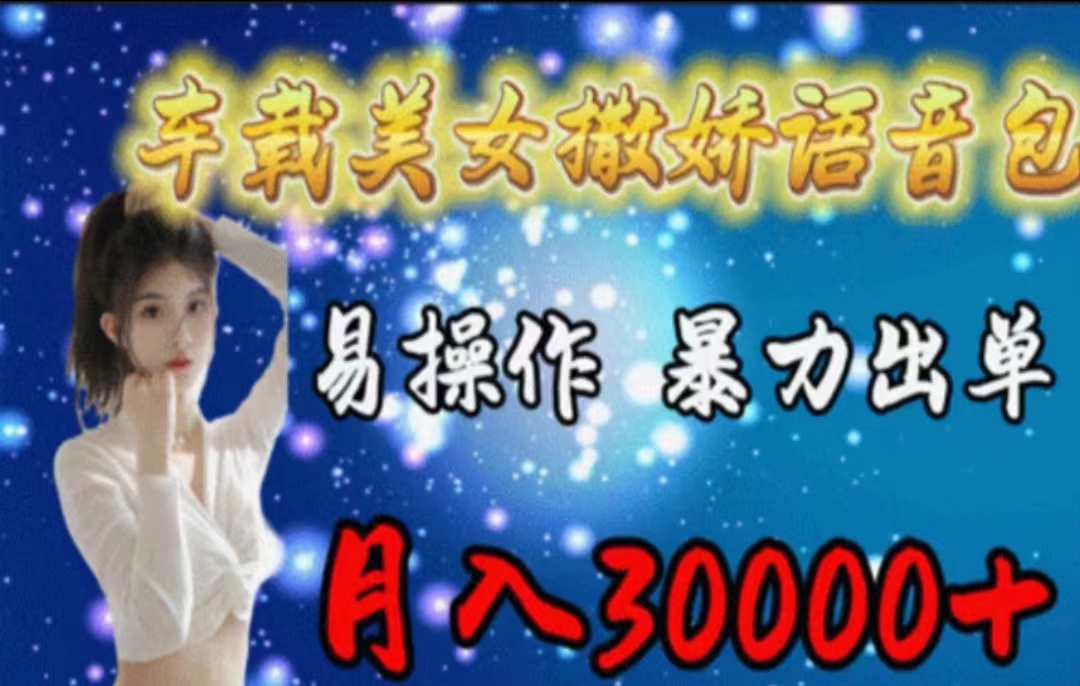 车载美女撒娇语音包，执行就出单，月入3000＋，小白看完课程就能马上实操网赚项目-美肚杀分享