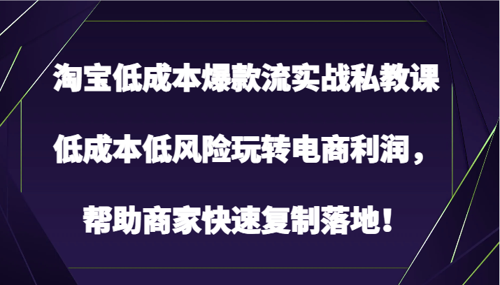 淘宝低成本爆款流实战私教课,低成本低风险玩转电商利润,帮助商家快速复制落地!网赚项目-美肚杀分享