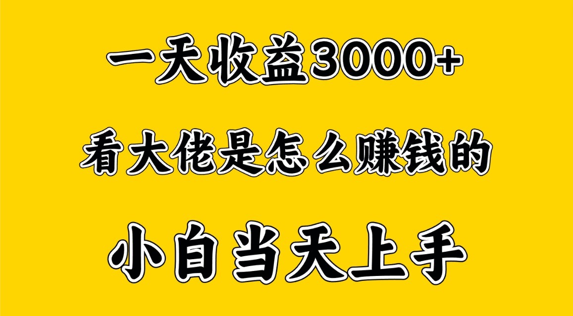 一天赚3000多,大佬是这样赚到钱的,小白当天上手,穷人翻身项目网赚项目-美肚杀分享
