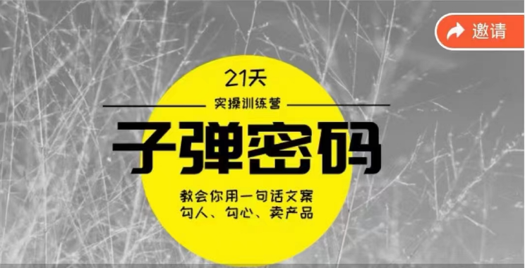 《子弹密码训练营》用一句话文案勾人勾心卖产品,21天学到顶尖文案大师策略和技巧网赚项目-美肚杀分享