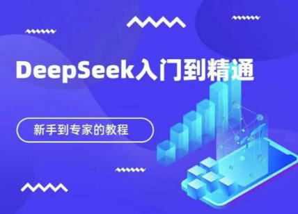 DeepSeek快速从入门到精通，新手的保姆级教程网赚项目-美肚杀分享