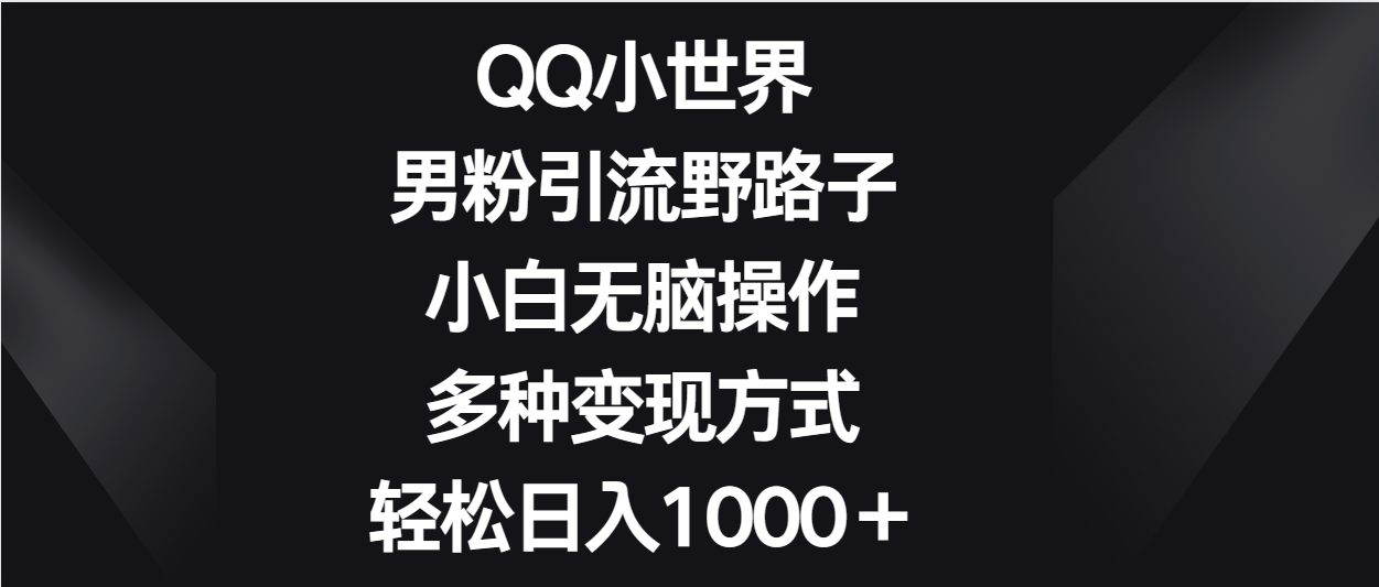 QQ小世界男粉引流野路子,小白无脑操作,多种变现方式轻松日入1000+网赚项目-美肚杀分享
