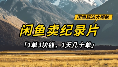 闲鱼卖纪录片1单3块钱，1天几十单，项目稳定有潜力网赚项目-美肚杀分享