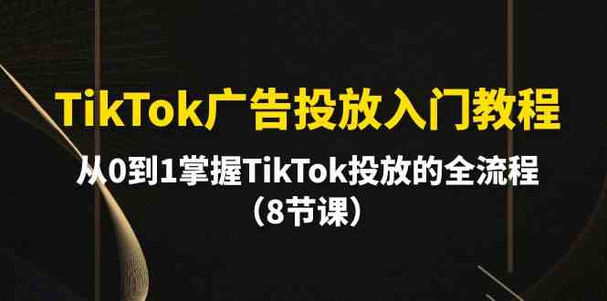 TikTok广告投放入门教程，从0到1掌握TikTok投放的全流程（8节课）网赚项目-美肚杀分享