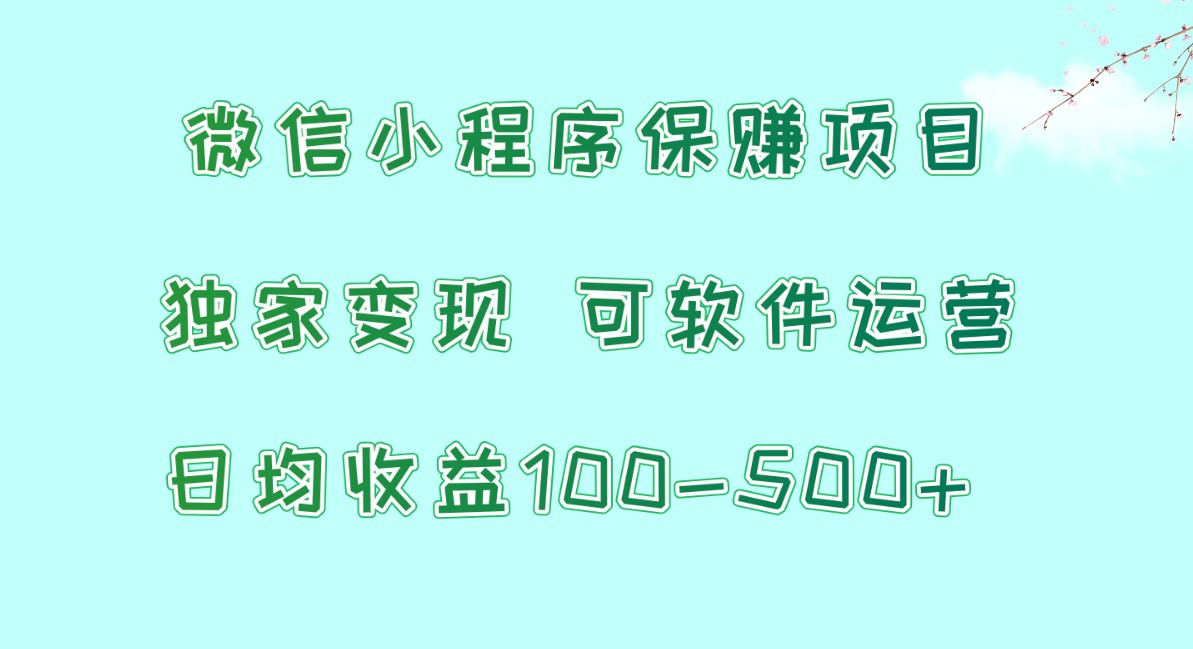 微信小程序保赚项目，日均收益100~500+，独家变现，可软件运营网赚项目-美肚杀分享