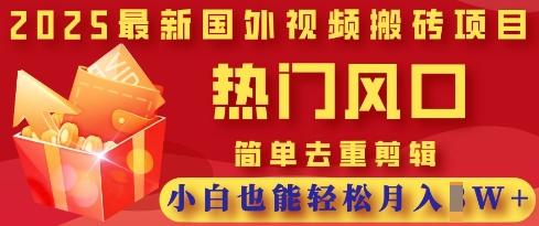 2025最新视频搬砖项目,热门风口,简单去重剪辑,小白也能轻松月入过W网赚项目-美肚杀分享