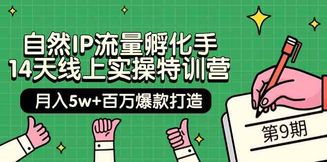 自然IP流量孵化手14天线上实操特训营【第9期】月入5w+百万爆款打造 (74节)网赚项目-美肚杀分享