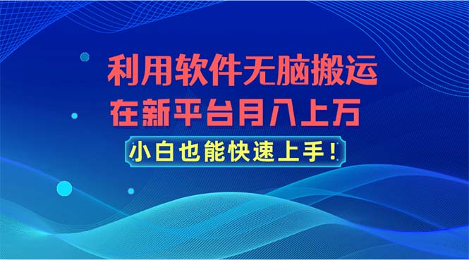 利用软件无脑搬运，在新平台月入上万，小白也能快速上手网赚项目-美肚杀分享