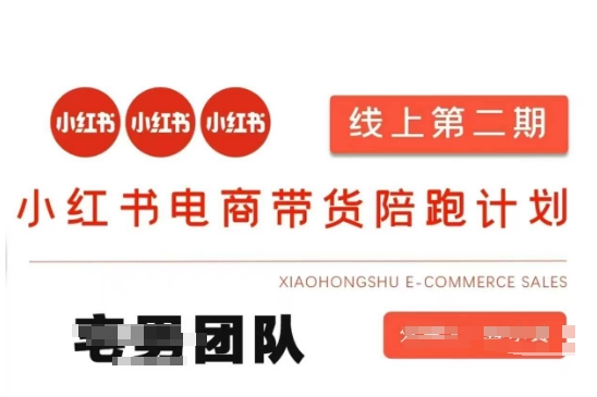 小红书电商带货课2期，月利润20个的小红书电商的有货源，无货源，虚拟产品，付费投流等整套玩法网赚项目-美肚杀分享