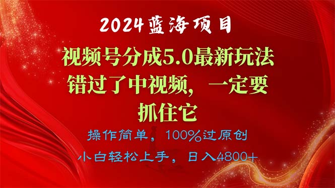 2024蓝海项目,视频号分成计划5.0最新玩法,错过了中视频,一定要抓住…网赚项目-美肚杀分享