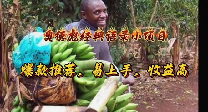 奥德彪经典语录小项目，爆款推荐，易上手，收益高网赚项目-美肚杀分享