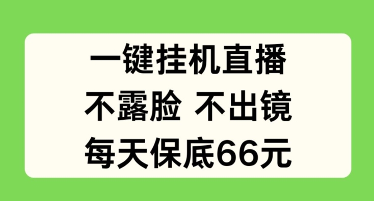 一键挂JI直播,不露脸不出境,每天保底66元网赚项目-美肚杀分享