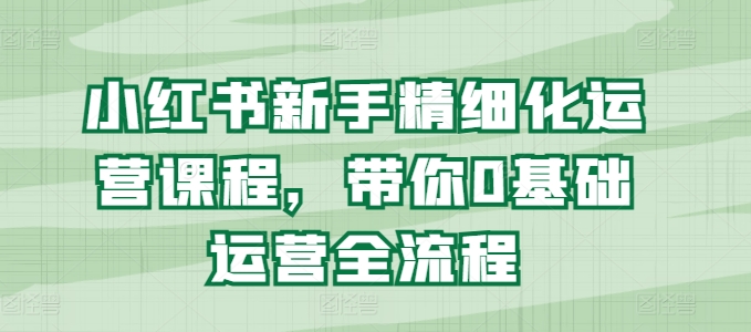 小红书新手精细化运营课程，带你0基础运营全流程网赚项目-美肚杀分享