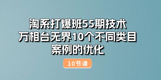 淘系打爆班55期技术:万相台无界10个不同类目案例的优化(10节)网赚项目-美肚杀分享