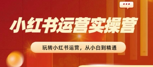 2024小红书运营实操营,从入门到精通,完成从0~1~100网赚项目-美肚杀分享