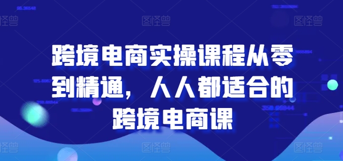 跨境电商实操课程从零到精通,人人都适合的跨境电商课网赚项目-美肚杀分享