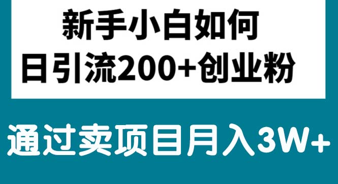 新手小白日引流200+创业粉,通过卖项目月入3W+网赚项目-美肚杀分享