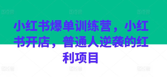小红书爆单训练营,小红书开店,普通人逆袭的红利项目网赚项目-美肚杀分享