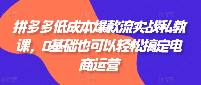 拼多多低成本爆款流实战私教课,0基础也可以轻松搞定电商运营网赚项目-美肚杀分享