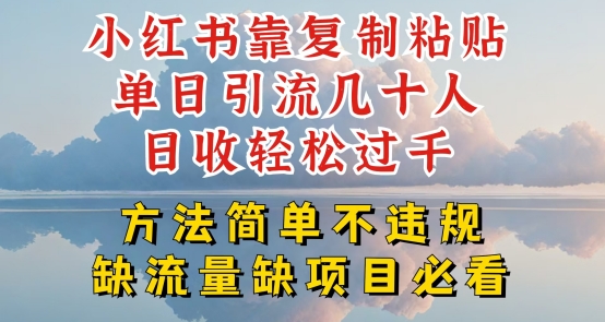 小红书靠复制粘贴单日引流几十人目收轻松过千，方法简单不违规网赚项目-美肚杀分享