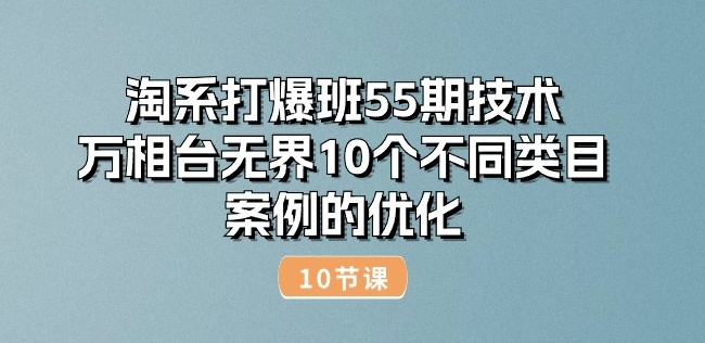 淘系打爆班55期技术：万相台无界10个不同类目案例的优化(10节)网赚项目-美肚杀分享