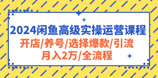 2024闲鱼高级实操运营课程:开店/养号/选择爆款/引流/月入2万/全流程网赚项目-美肚杀分享