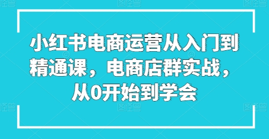 小红书电商运营从入门到精通课,电商店群实战,从0开始到学会网赚项目-美肚杀分享